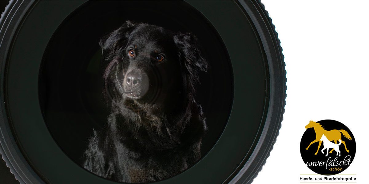 HB_1200x600_Fotografie